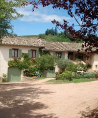 LE PLATEAU DE GRILLE MIDI