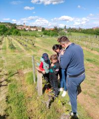 LA DERNIÈRE AMPHORE