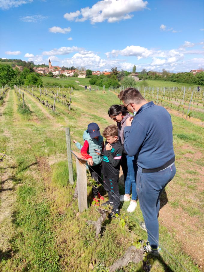 LA DERNIÈRE AMPHORE