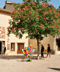 MAISON DU TERROIR BEAUJOLAIS