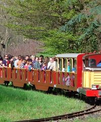 CHEMIN DE FER TOURISTIQUE