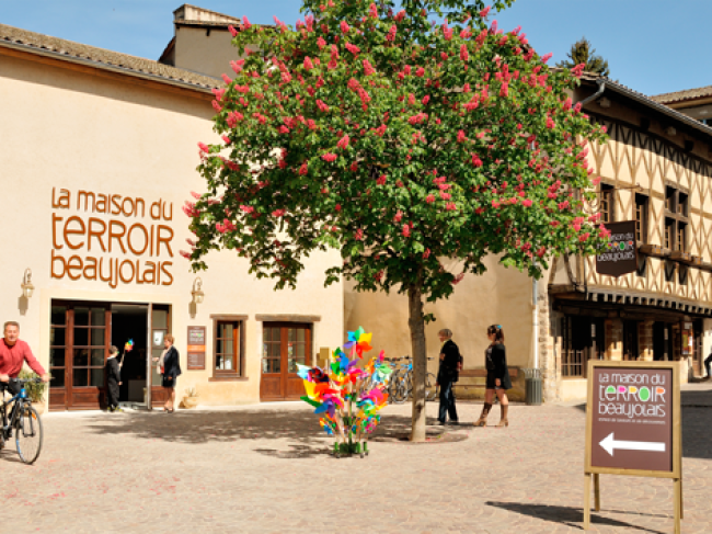 MAISON DU TERROIR BEAUJOLAIS