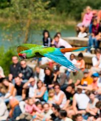 PARC DES OISEAUX