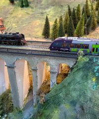 AMIS GUIDES BEAUJOLAIS – VALLEE AZERGUES