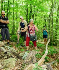 AMIS GUIDES BEAUJOLAIS – HAUT BEAUJOLAIS