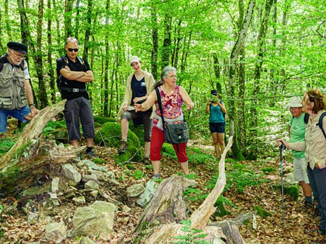 AMIS GUIDES BEAUJOLAIS – HAUT BEAUJOLAIS